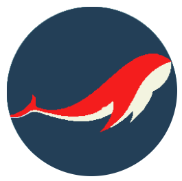 老鱼加速器-电脑端使用教程