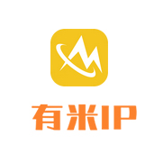 有米加速器-电脑端使用教程